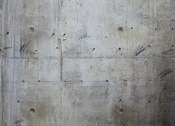  Fruitland, NC Concrete contractor Pros